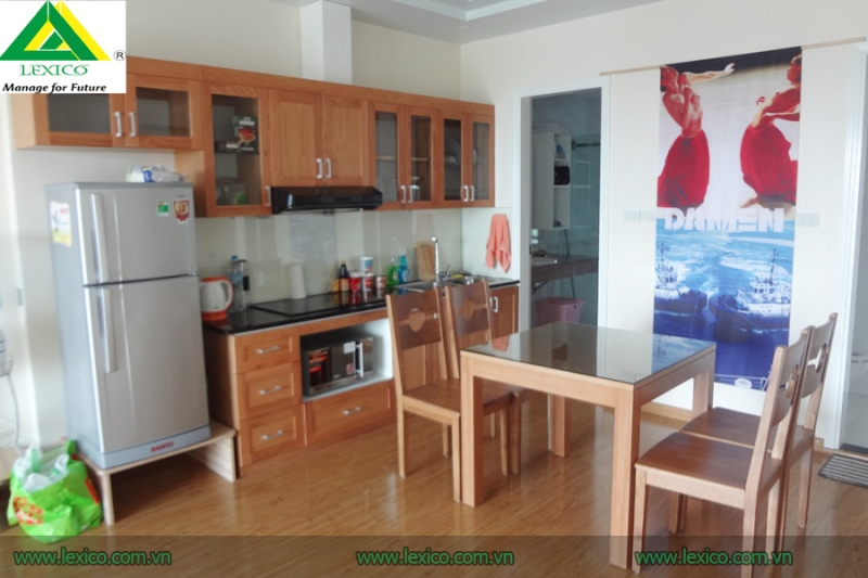 Apartment with one big bedroom for rent in Hai Phong