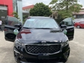 하이퐁에서 KIA-SEDONA 2020 렌터카