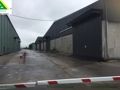 Warehouse, Workshop for rent 3USD/m2/month