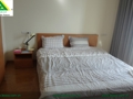 Apartment with one big bedroom for rent in Hai Phong